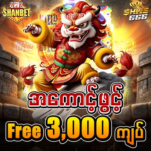 shwe666